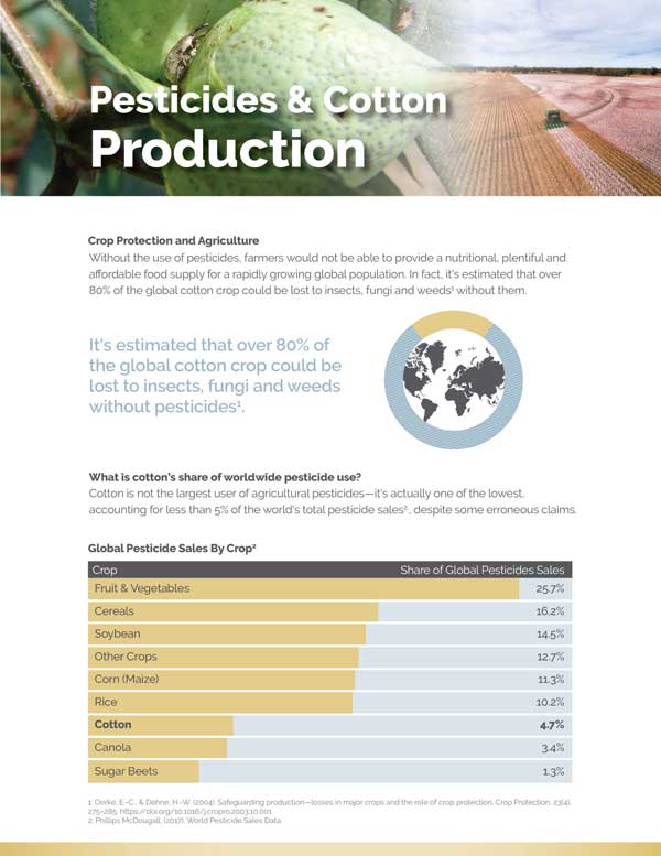 View Pesticides and Cotton Production Document