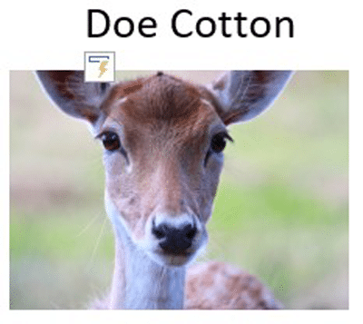 Doe Cotton